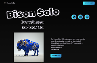 Bison Solo NFTs